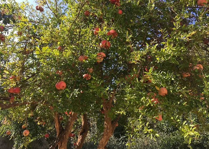 Nikka Διαμέρισμα